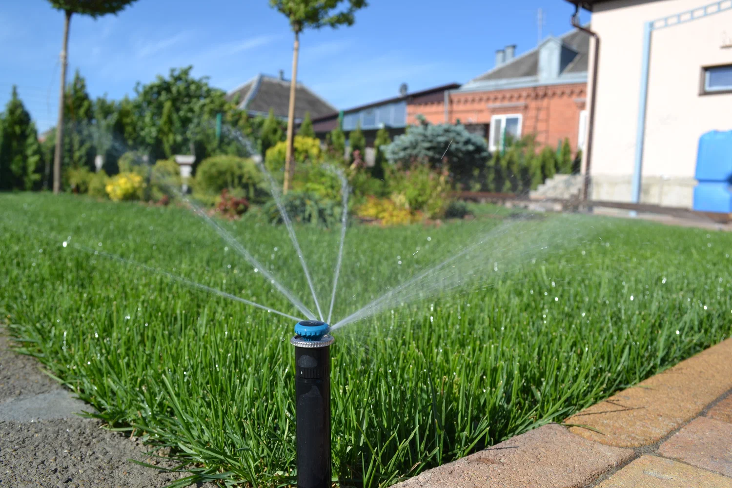 Keep Your Garden Thriving: Irrigation System Solutions